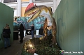 VBS_1027 - Dinosauri. Terra dei giganti
